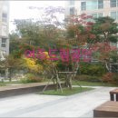 김동호치과의원 이미지