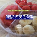 데일리프룻 티스토리