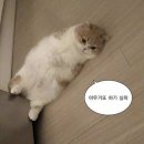 청춘술집 - 사하구 | 청춘술집