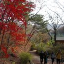 재경동창회 산행대회(2010. 11. 14) - 청계산 이미지