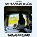 서울 근교 차크닉 장소 화성 궁평항 후기