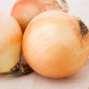 웰튼동물의료센터 이미지