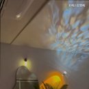 포레스트명례