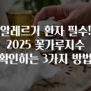 알레르기 환자 필수! 2025 꽃가루지수 확인하는 3가지 방법