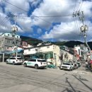 위드유약국 이미지