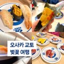 일본 오사카 교토 벚꽃 여행 2박 3일 #8. 가성비 갑 회전 초밥 맛집 쿠라 스시 (KURA) 이용 방법 및 후기