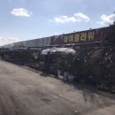 풍경화꽃식물원 이미지