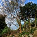 바닷가언덕 민박 이미지