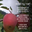 사계절피부사랑