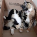 오월의 그루밍 이미지