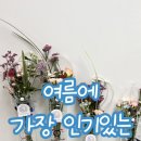 칠링 이미지