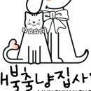 꽃개꽃냥