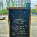브레드랜드(BREAD LAND) 이미지