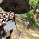 [여행] 과몰입특집 한국민속촌 웰컴투조선 2회차: <조선살인수사> 범인검거후기, 장터메뉴