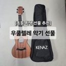 초등 우쿨렐레 1-6학년 | 초등 아이 선물 우쿨렐레ㅣ이제는 장난감 말고 악기 선물해 주세요.