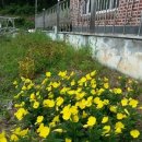 황금이식물원 이미지