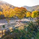 천동캠핑장(하) 이미지