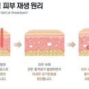 피코 이미지