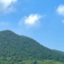 신안목장2 이미지