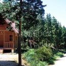 남해-175 이미지