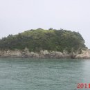 중죽도