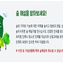 솔향수목원(제3주차장) 이미지