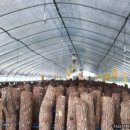 천령정비 이미지