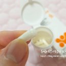 (주)가이아 | 성인유산균 추천 바이오가이아 프로텍티스 캡슐