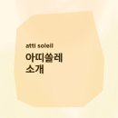 아띠미술