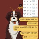 P-7719 | 음대생 - 8월 일상들 | 삼척 여행