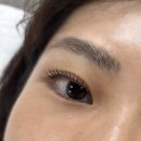 살롱드아 | 울산 남구 속눈썹펌 잘하는 곳 '살롱드아이 울산'