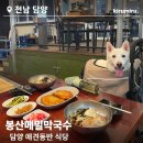 담양 애견동반 식당 담양 현지인 막국수 맛집, 봉산메밀막국수