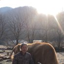 소소리농장 이미지