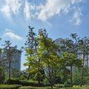 새마을부동산중개사사무소 이미지