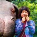 옥자축사 이미지