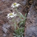 그린24시 편의점 이미지