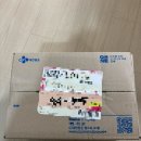 토스에서 학생할인 받아서 애플펜슬프로 구매후기