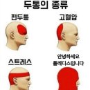 와르르맨션 Daum카페
