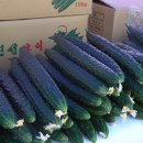 청년테마공원 화장실 이미지