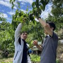 신내농장 이미지