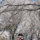 금촌유아숲체험원 이미지