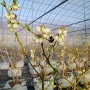 백일농장 이미지