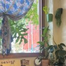 해쉬테이블 이미지