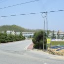 풍산중.고등학교 Daum카페