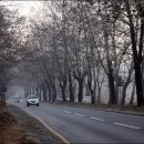 청주가로수길 이미지