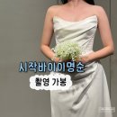 원앤온니에이엠씨 | 시작바이이명순 촬영 가봉 후기(풍성,슬림실크,유색드레스,주차)