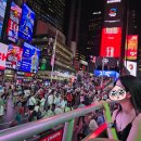 킹콩나이트 | [미국 뉴욕] 탑뷰 나이트 투어 2층버스 후기