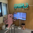 눅 - 마포구 독막로 253-1 | 대전가볼만한곳 고양이카페 '캣플코지눅' 방문 후기
