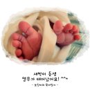 형제보링 이미지