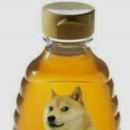 버니스 이미지
